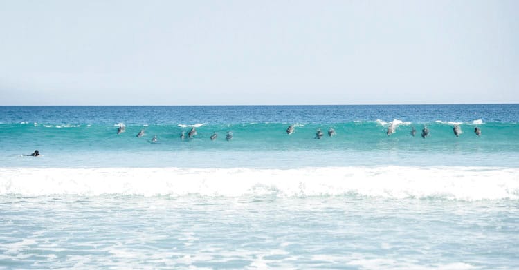 Surf’s up in Berry Bay