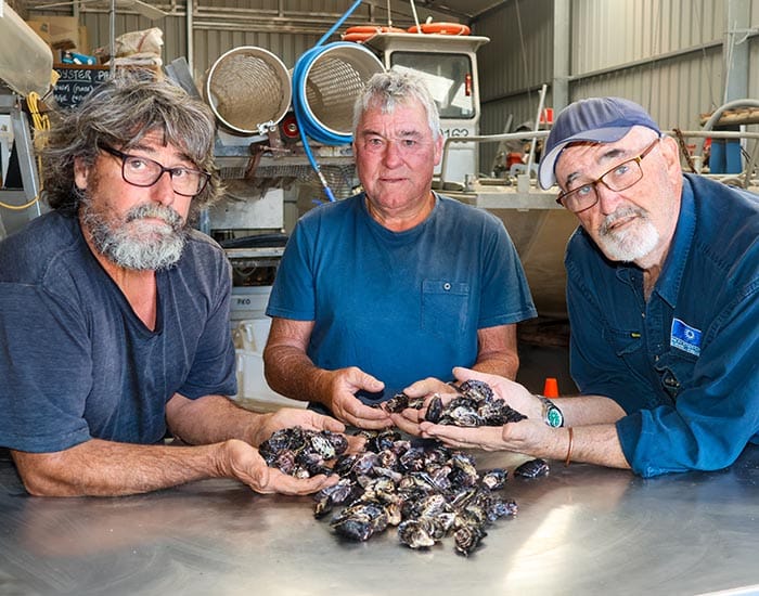 Algae concerns close oyster farms