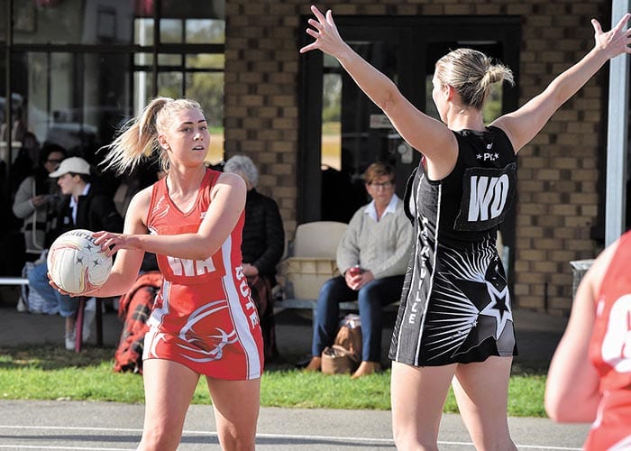 YPNA scores and reports