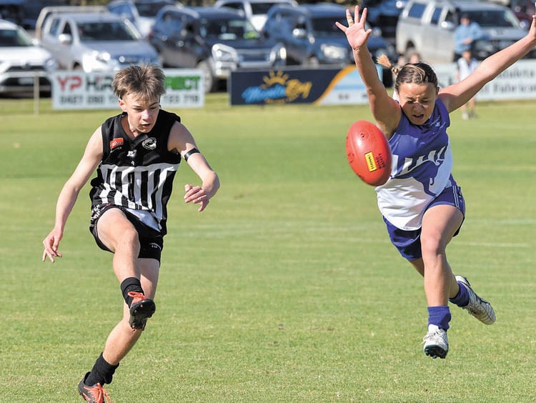 YPFL junior colts preliminary final - Magpie madness rolls into grand final