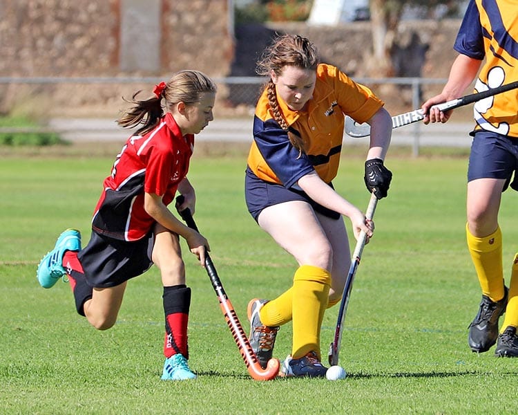 YP Hockey scores and reports