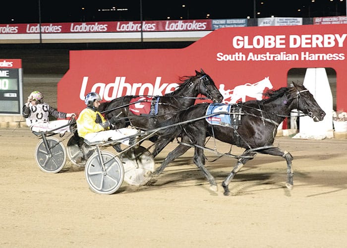 YP Harness Racing Club