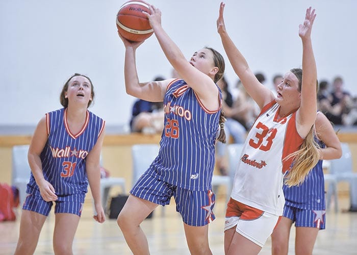 Yorke Valley basketball