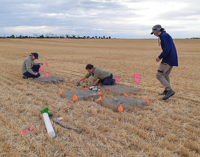 Research projects target mouse activity new normal