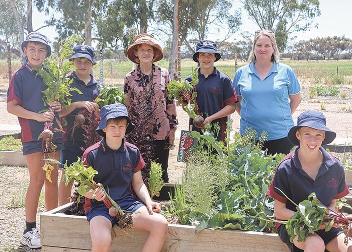 Community garden open for visitors