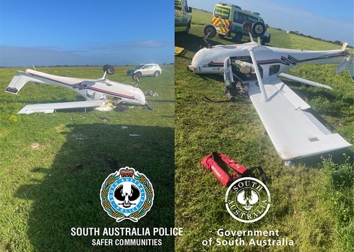 Man injured, horse dies in plane crash