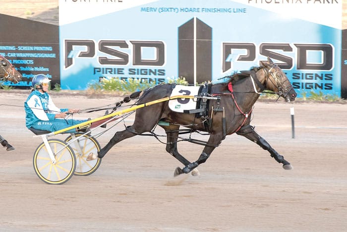 YP Harness Racing Club news