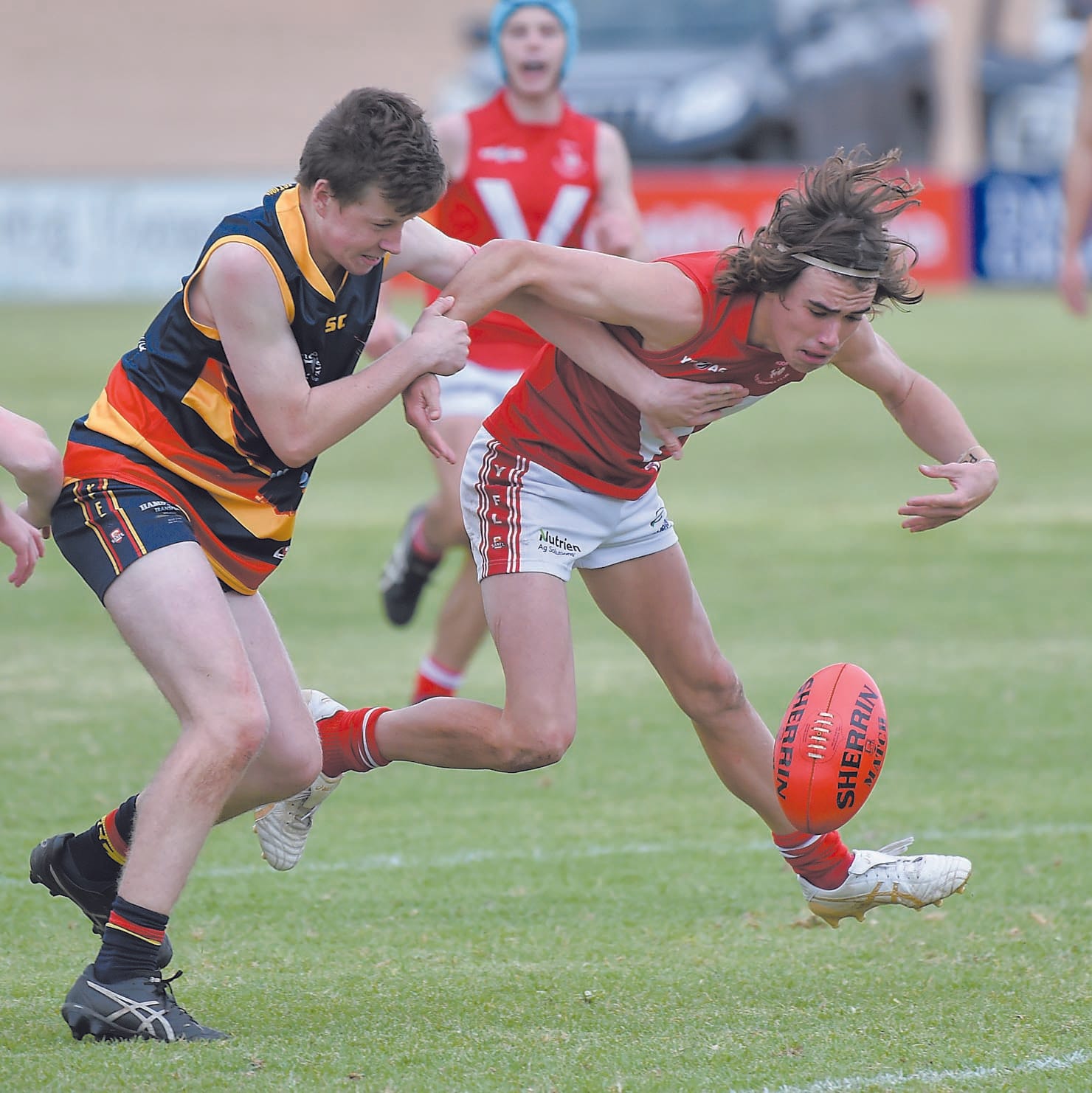 YPFL: Crows soar on young Roosters