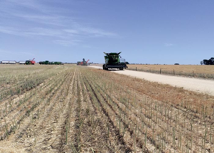 CFS keen to restore fire safety rating