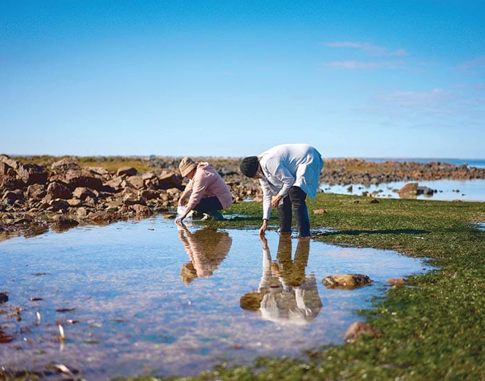 Local artists featured in Saltbush Country exhibition