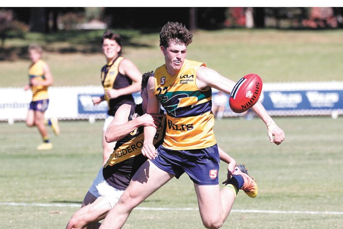 Bloodhound export in SA U16 squad