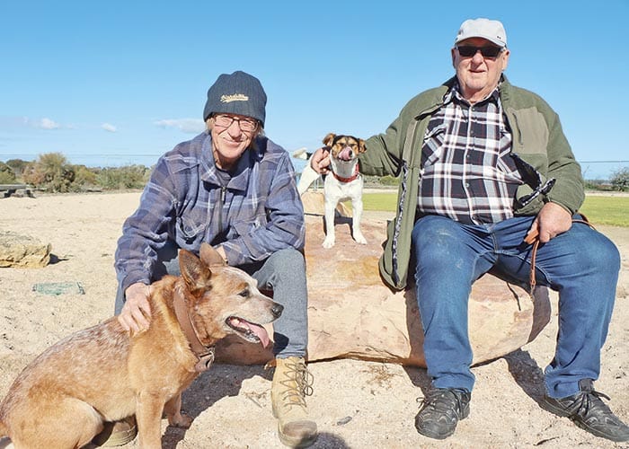 Council em-barks on pet exhibition