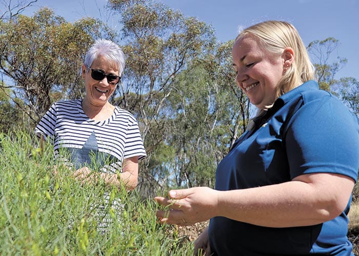 Initial steps to preserve Willamulka corridor