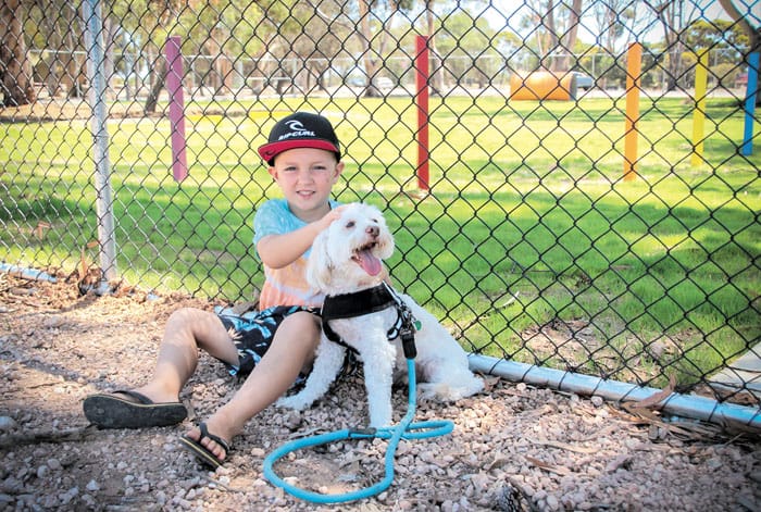 Paws-itive attraction - another park for your pooch