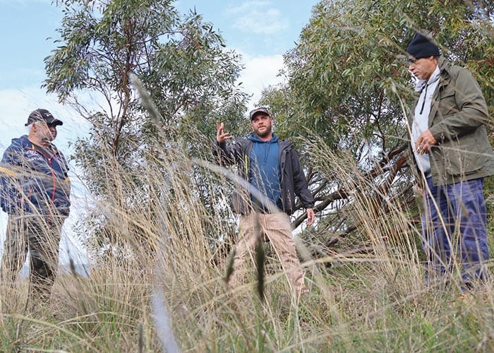 Historic cultural fires lit a second time