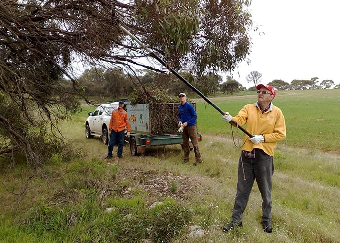 Yorke Peninsula’s coastline set to be reinvigorated
