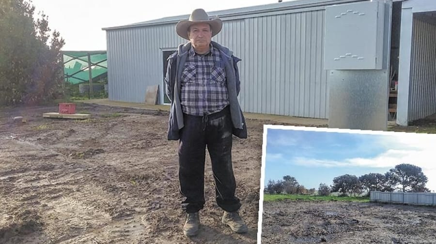 Bushfire clean-up effort approaches completion