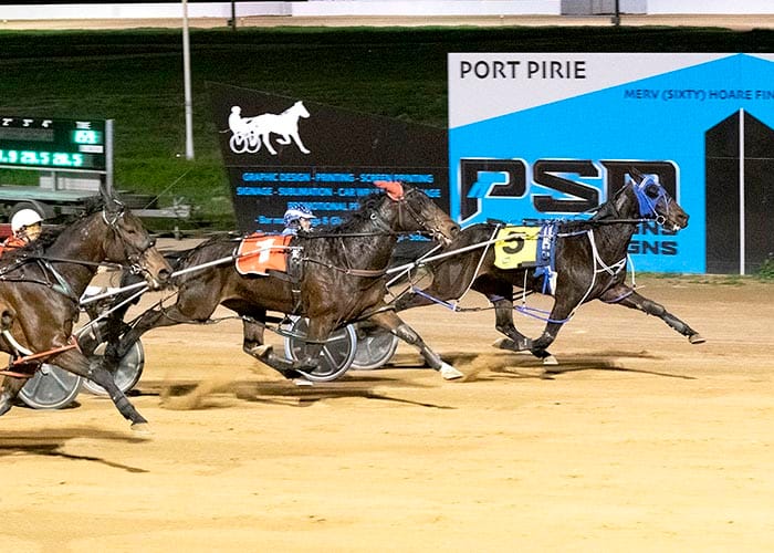 Port Pirie harness racing