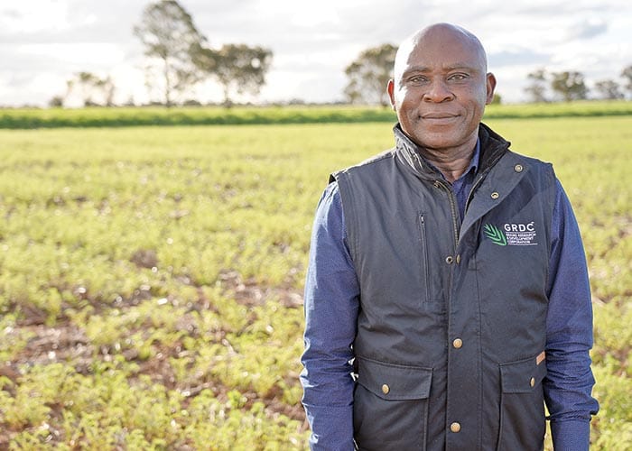 New research to deliver acid-tolerant chickpeas