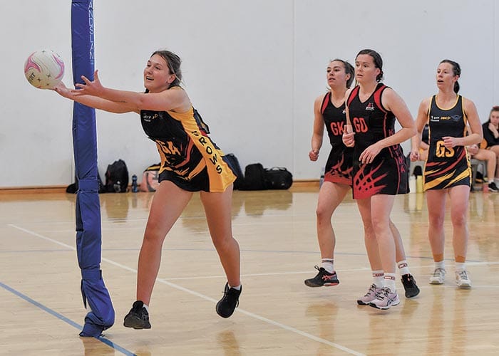 YPNA scores and reports