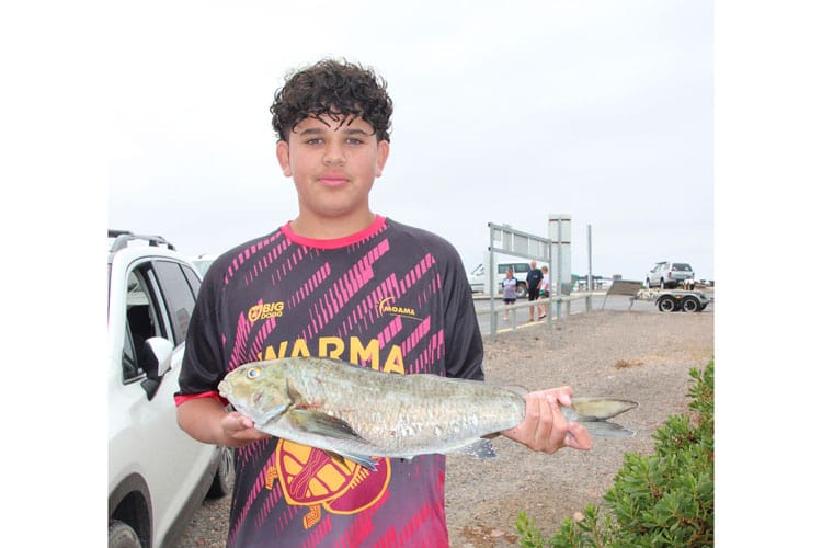 Ten-year celebrations for Gynburra Festival