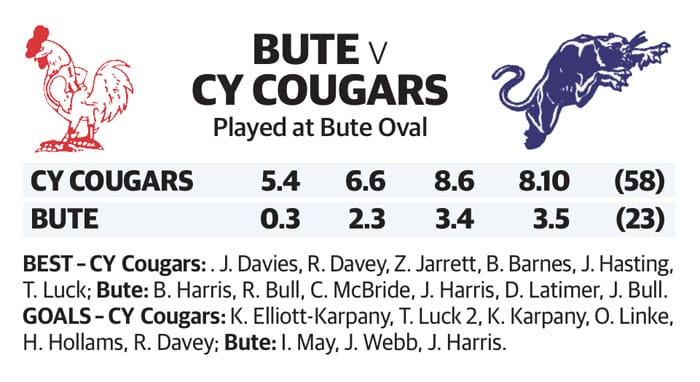 YPFL preliminary final – Senior Colts
