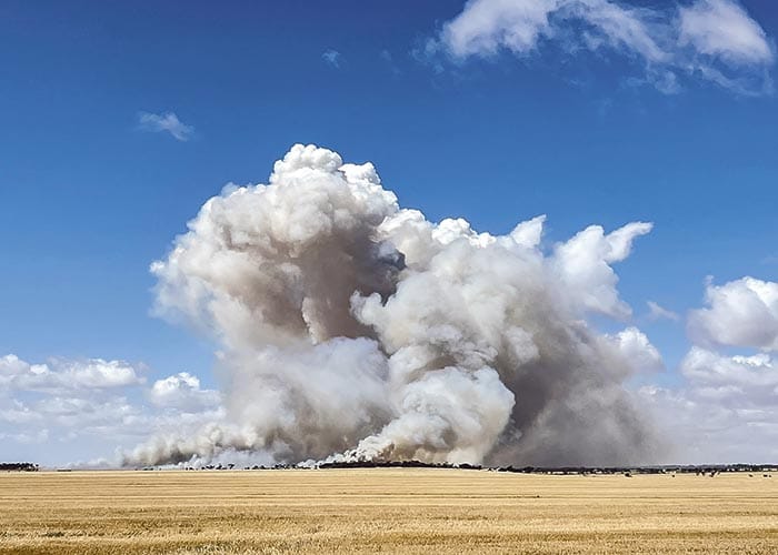 Fire wipes out lentils, wheat