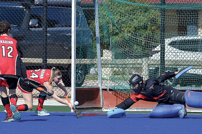 YP Hockey Association