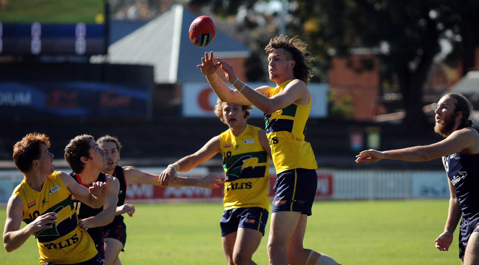 Four YP lads in SA u19 squad