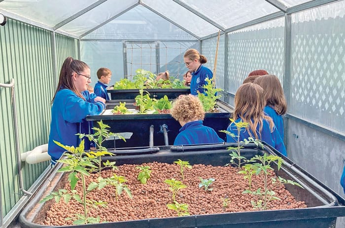 Fostering thinkers at AAS