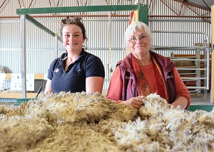 Field days back at their best