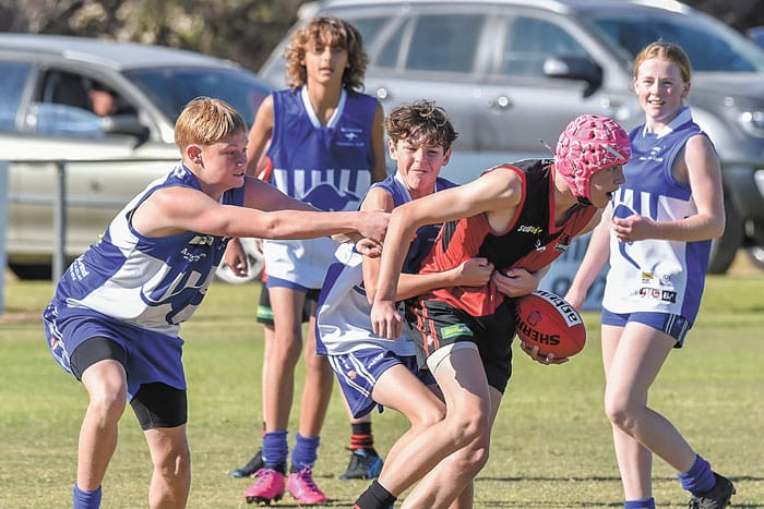 YPFL: Bloodhounds maul Roos