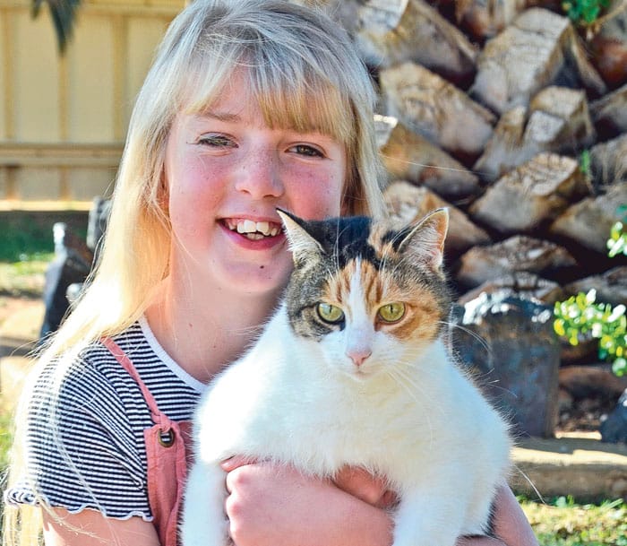 Time to register your cats and dogs