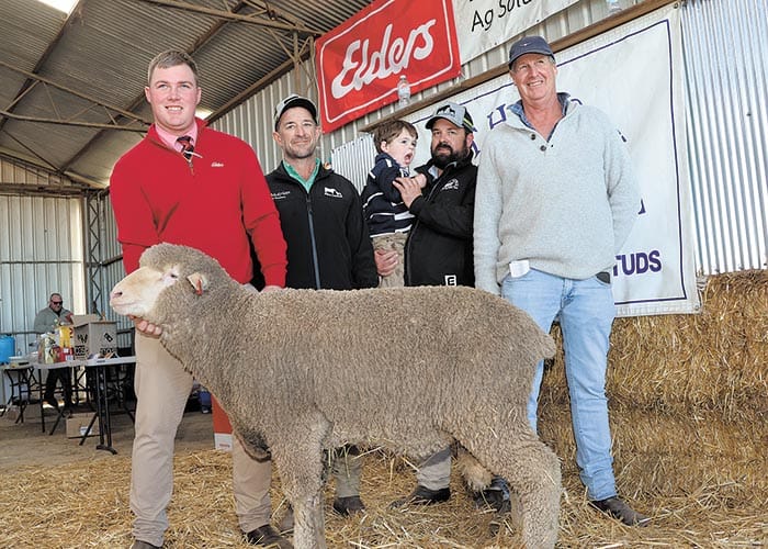 Auction season begins with $7k ram at North Cowie