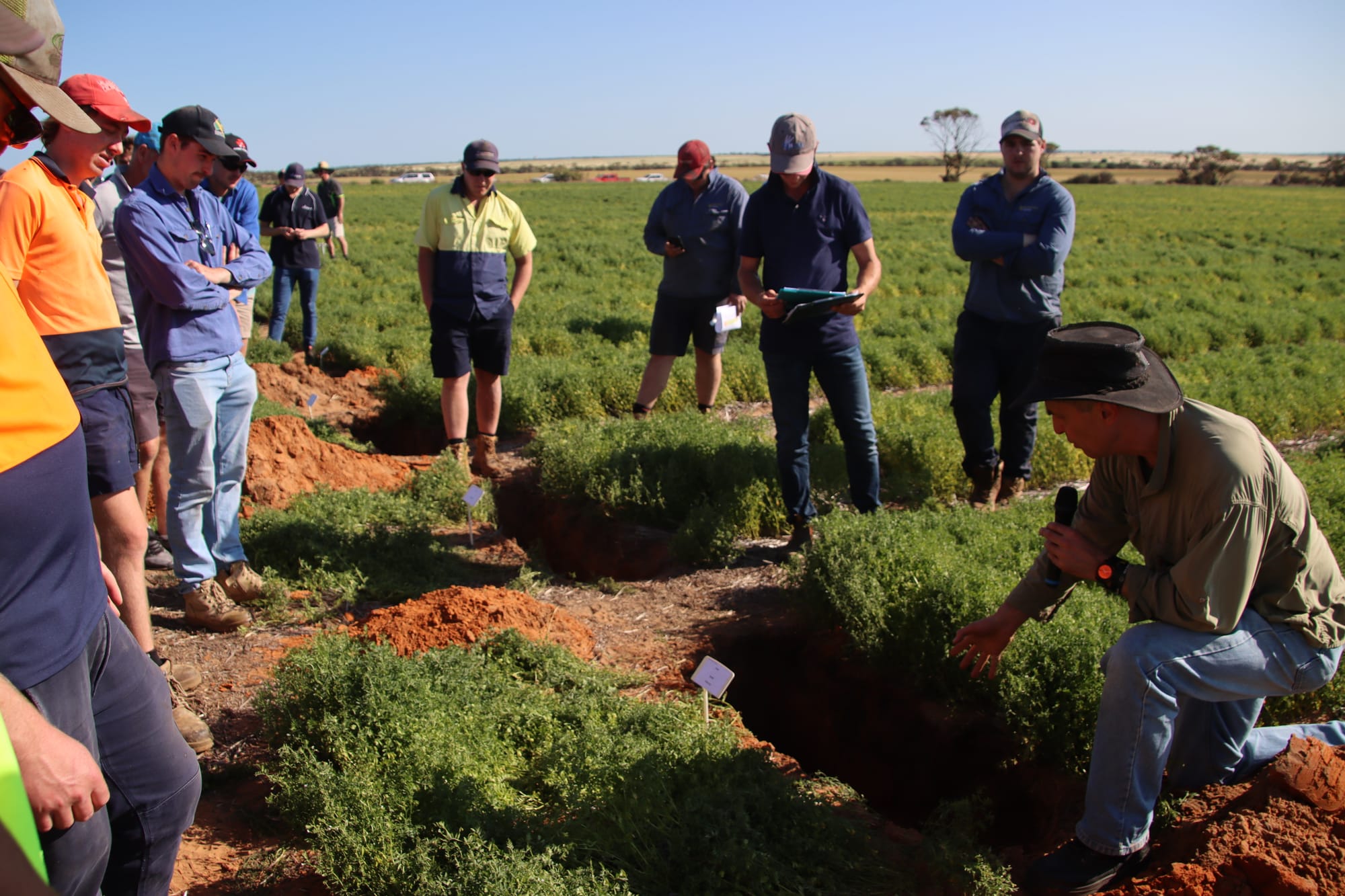 NSS holds final crop walk of season