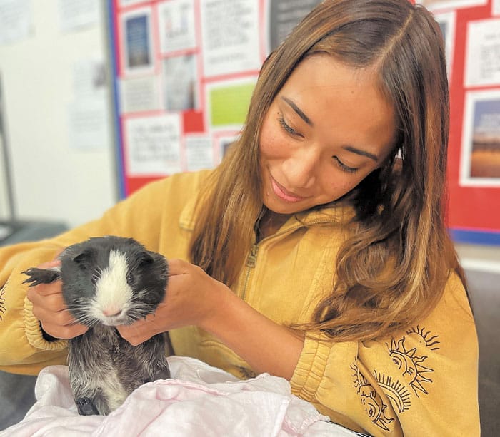Yorketown’s new classroom companions