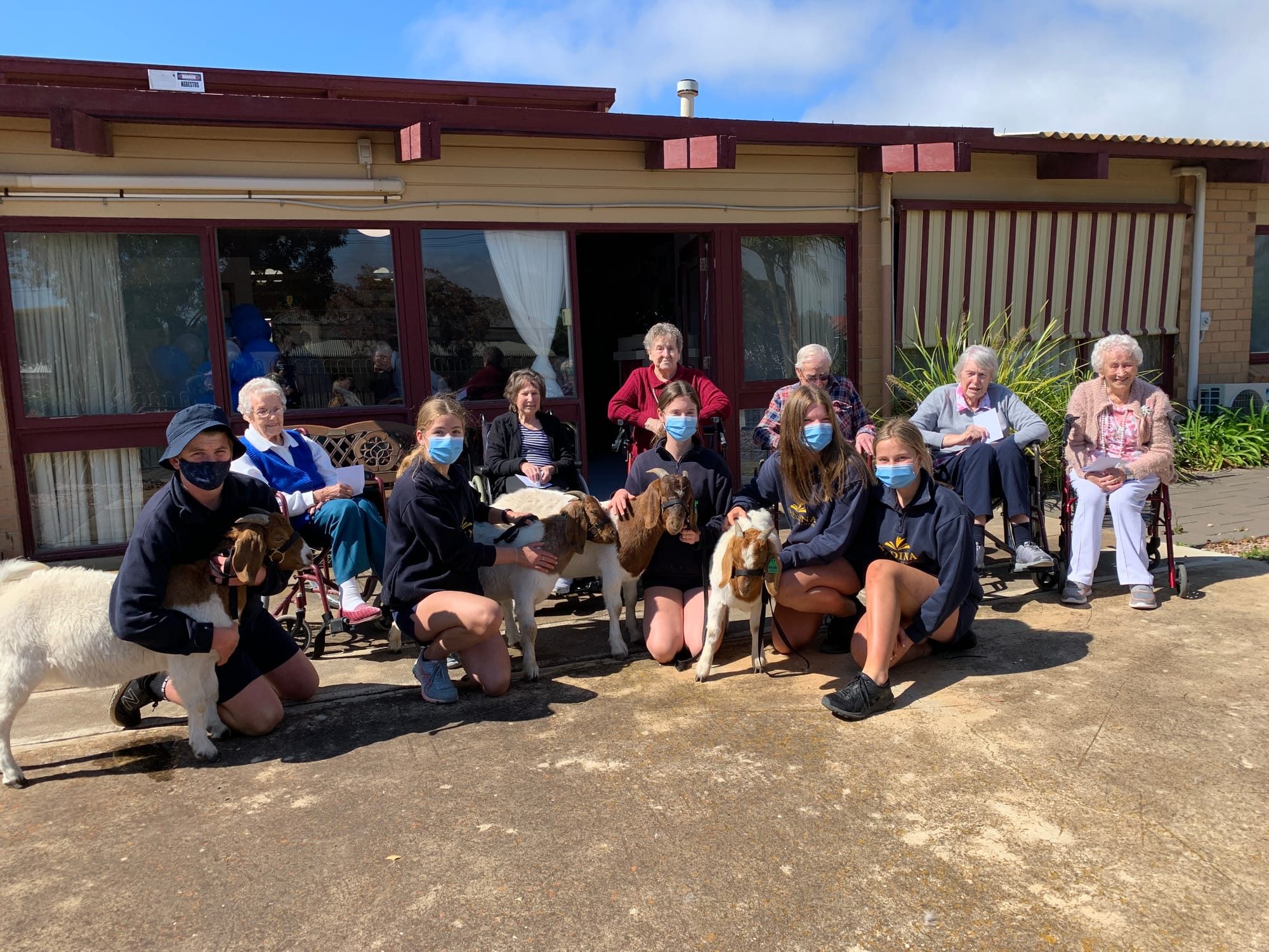 Show goes on for KMS goats