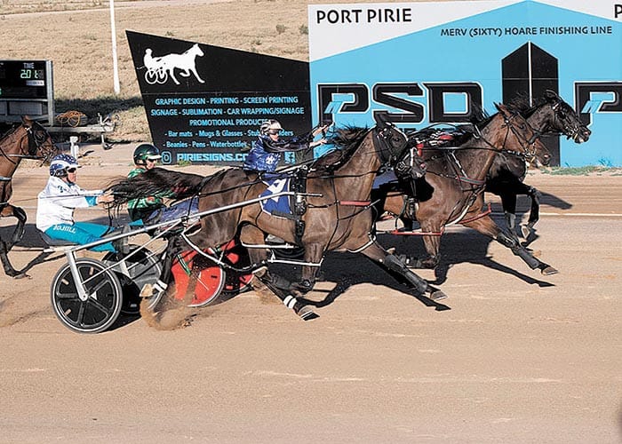 Port Pirie harness racing
