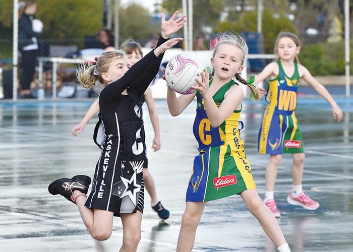 Minlaton’s giant junior carnival