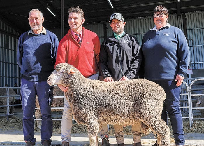 Dohne deal at Babirra