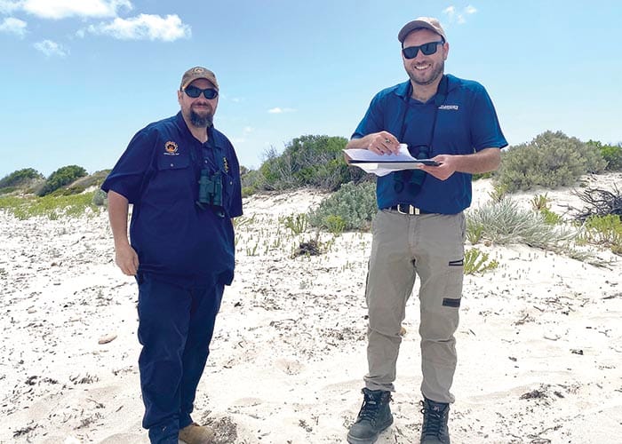 Plover count complete