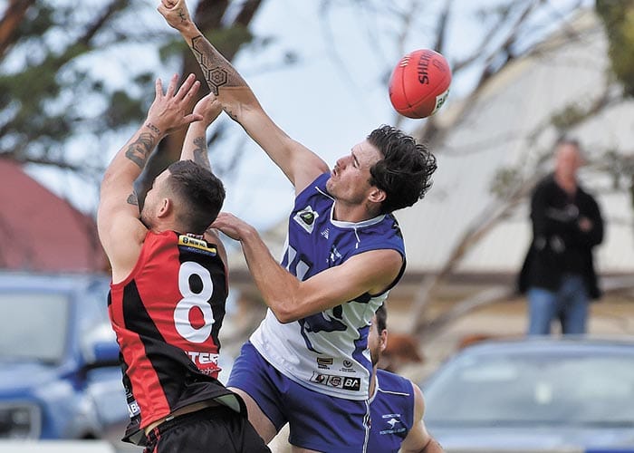 YPFL... Ladder takes shape