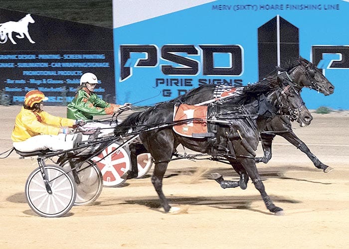 YP Harness Racing Club news