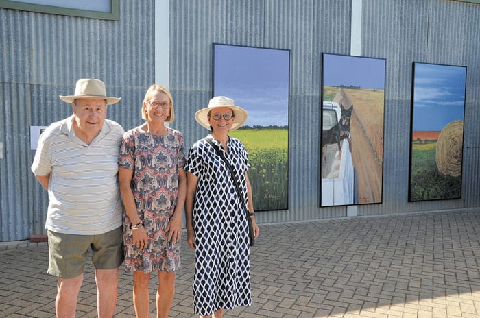 Maitland mural unveiled
