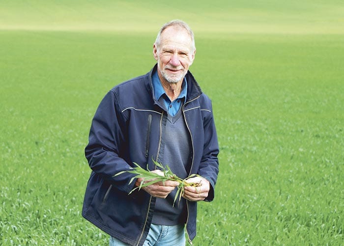 Hart group celebrates 40 years