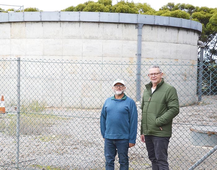 YPC planning to extend mural trail