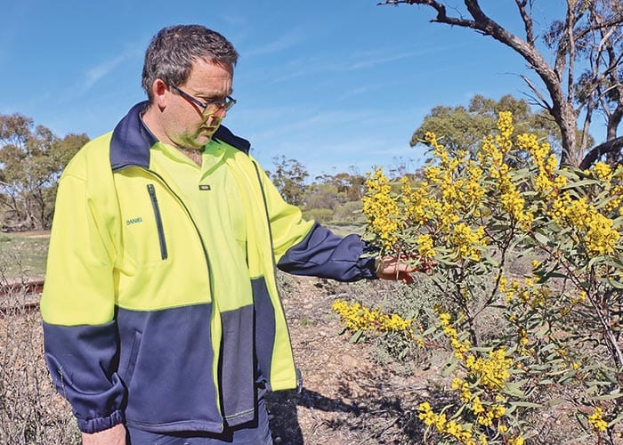 Funding for northern YP environmental projects