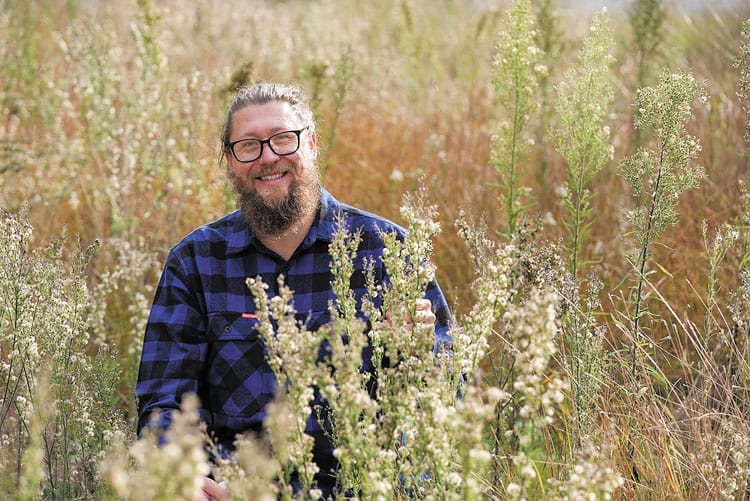 Working towards biological control for flaxleaf fleabane