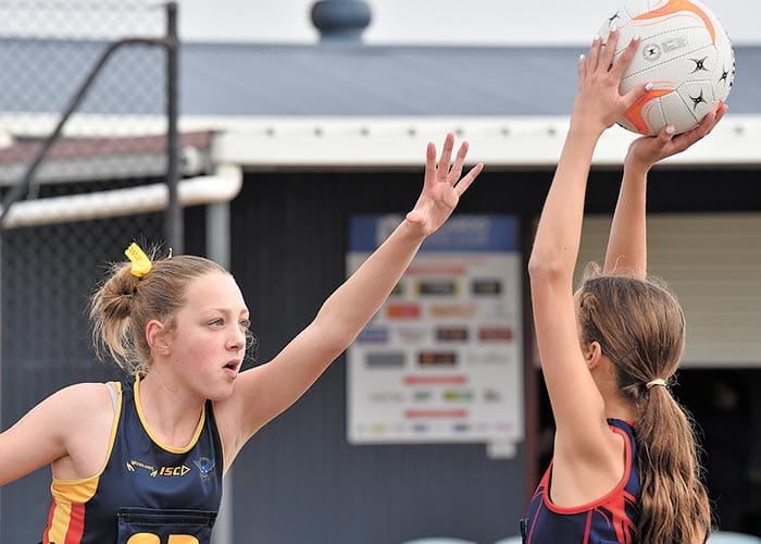 YPNA scores and reports