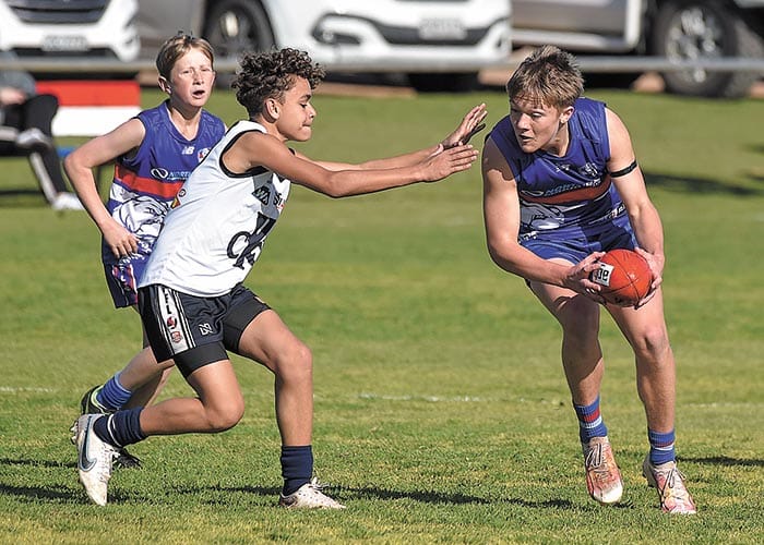 Top of table Cougars wallop Wallaroo